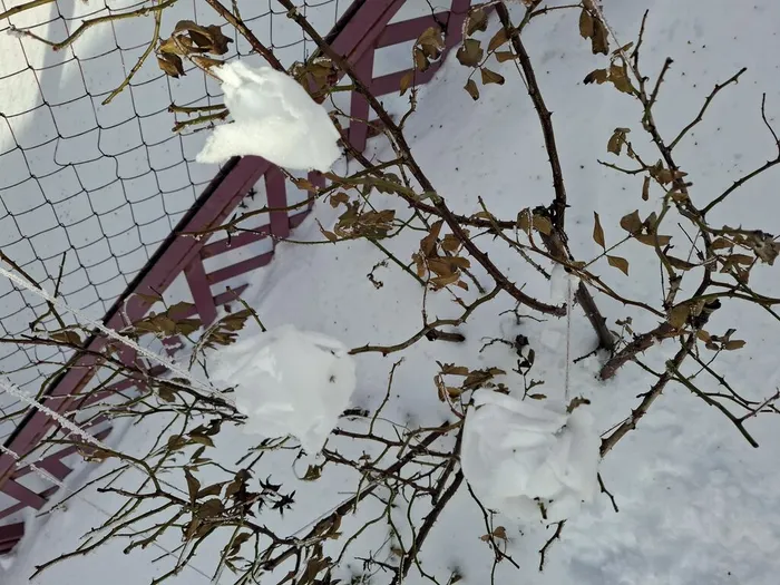 20260129_120804